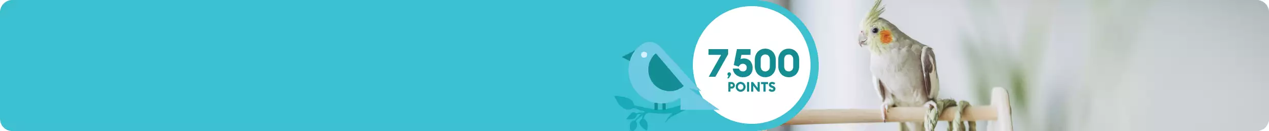 7,500 points with bird