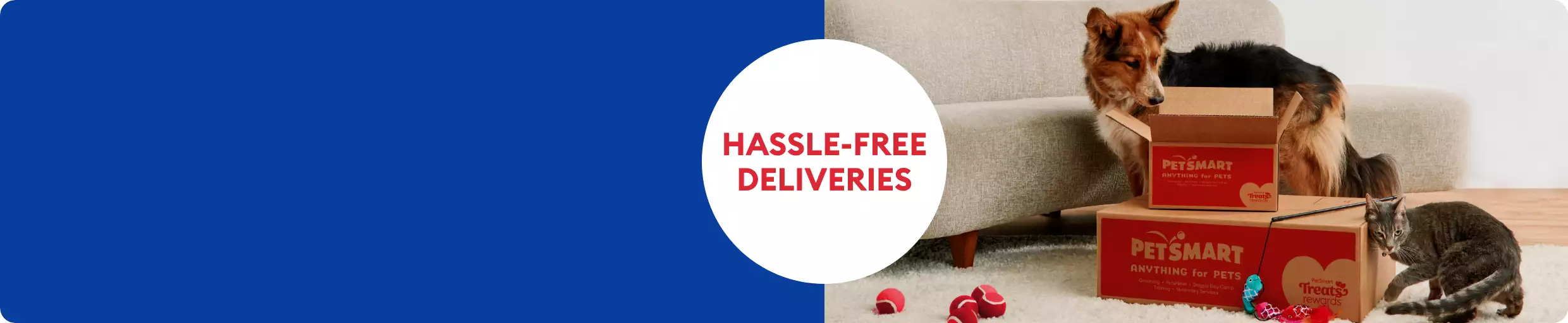 Hassle-Free deliveries with a dog and a cat next to boxes