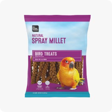 Bag of bird food