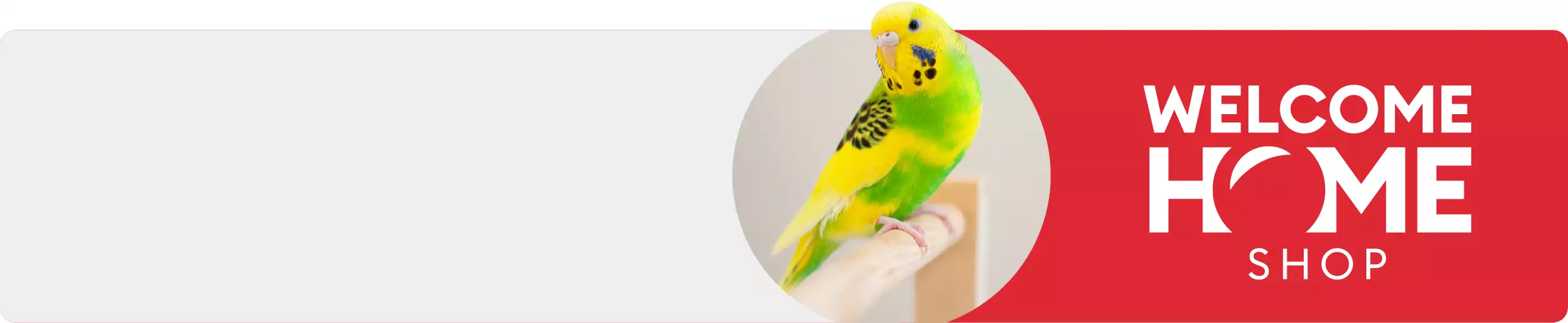 Bird + Welcome Home Shop