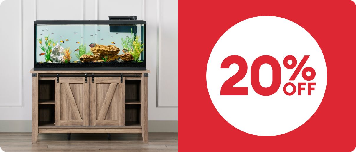 Fully stocked aquarium on a light wood stand