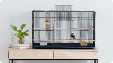 Bird in a cage sitting on a desk with plant nearby