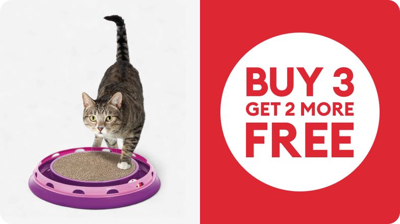 Cat with scratcher toy & Buy 3 get 2 more free