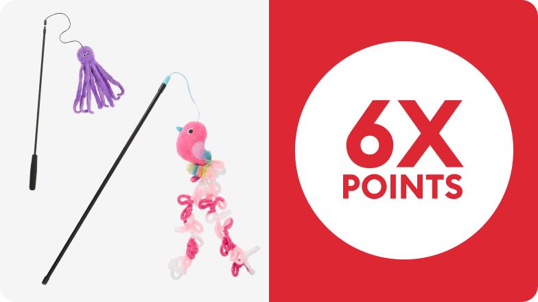 Variety of cat wand toys