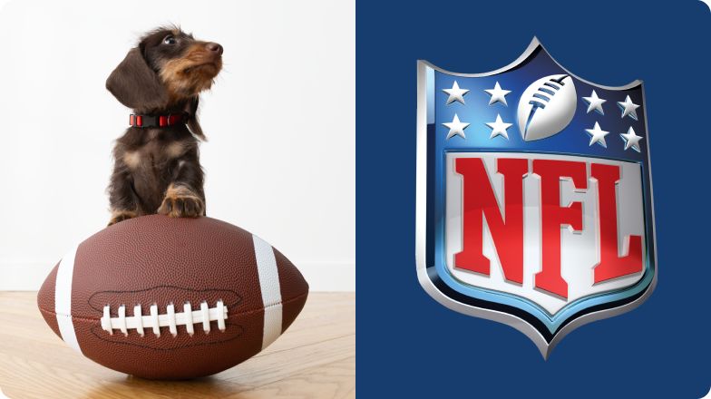 Dog holding football next to NFL logo