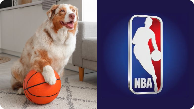 Dog with paw on basketball plus NBA logo