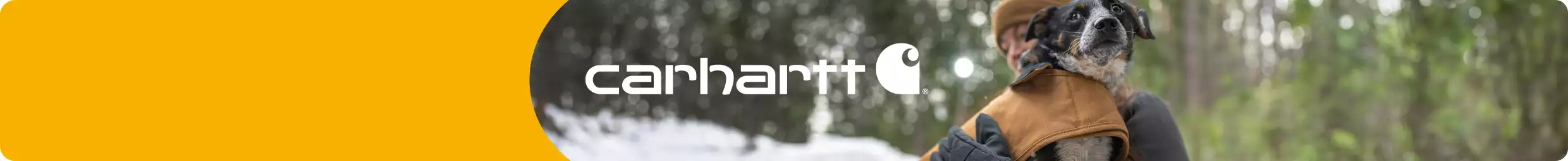 Dog wearing tan & black coat from Carhartt collection plus Carhartt logo