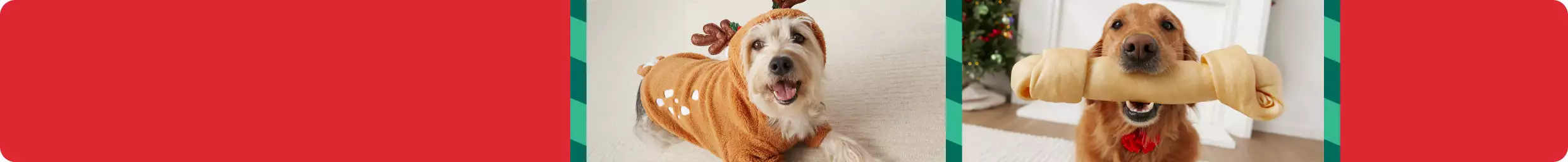 Dog wearing reindeer holiday outfit and dog with chew toy bone