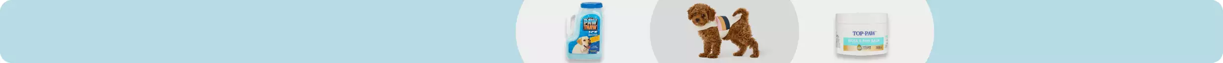 Paw Thaw ice melter, brown dog in jacket, Top Paw nose & paw balm