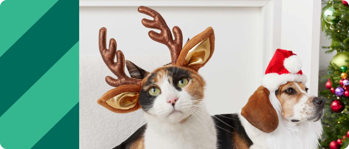 Cat wearing reindeer antlers & dog wearing Santa hat