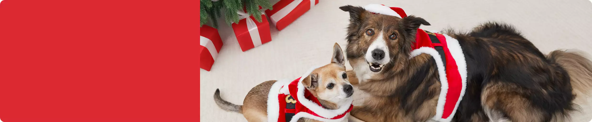 Two dogs in Santa outfits laying next to Christmas tree