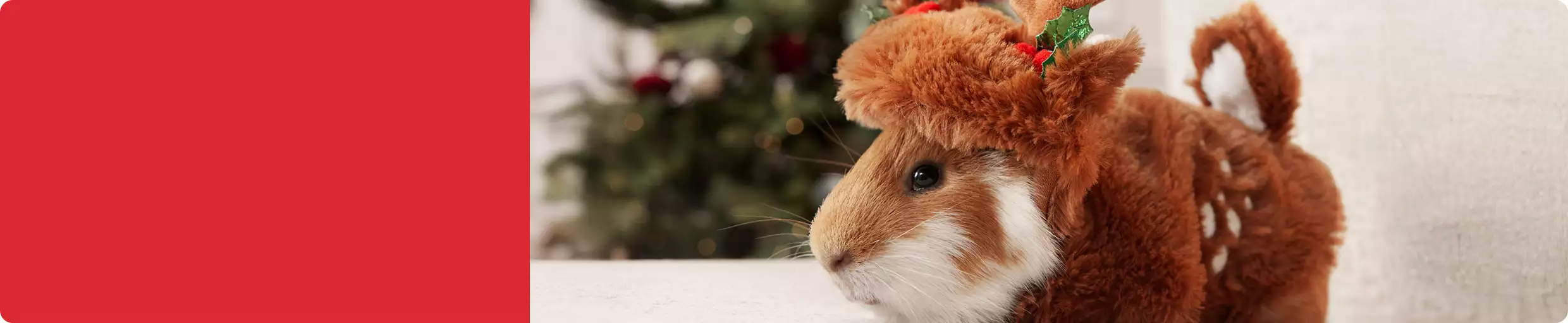 Gray rabbit shown with minature sleigh decor