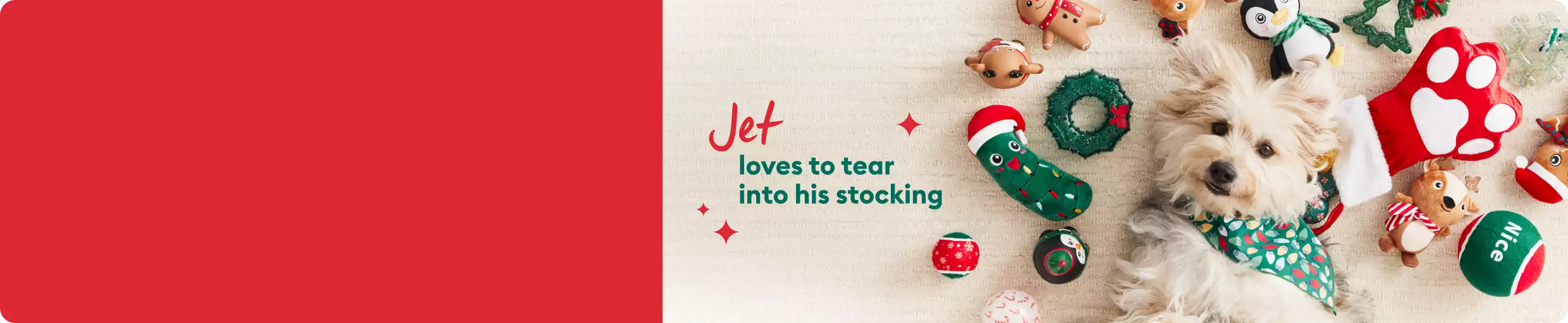 Small terrier surrounded by holiday toys: Jet loves to tear into his stocking