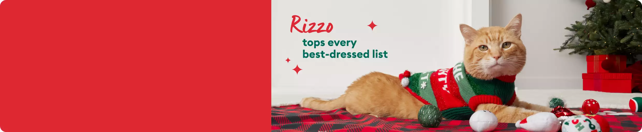 Orange cat in holiday sweater with toys: Rizzo tops every best-dressed list
