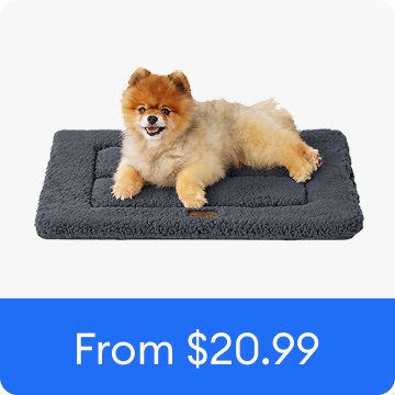 Dog laying on an orthopedic washable bed