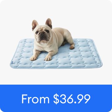 Dog laying on a thin cooling crate mat