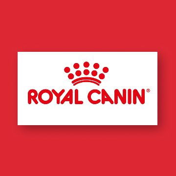 Retrieving data. Wait a few seconds and try to cut or copy again.