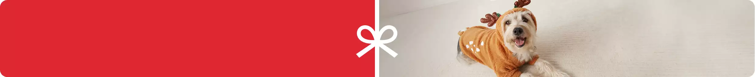 Dog wearing a reindeer sweater& a white bow icon