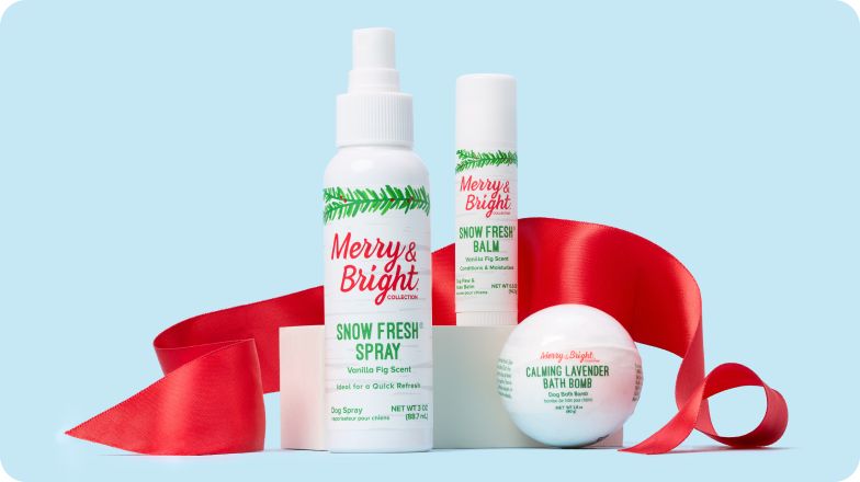 An assortment of Merry & Bright grooming products