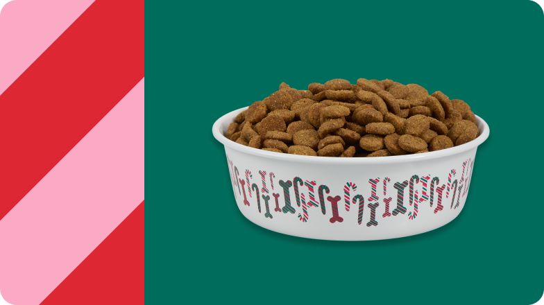 Food bowl filled with kibble