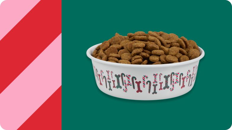 Food bowl filled with kibble