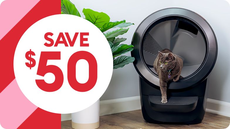 Cat stepping out from Litter-Robot box