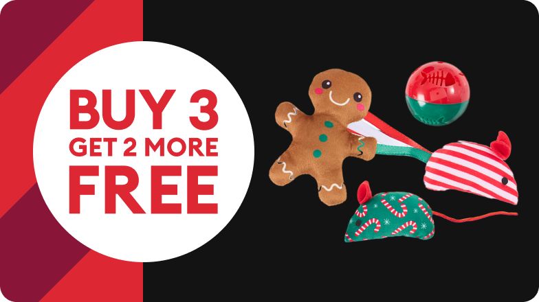 Buy 3, get 2 more free callout and 4 cat toys