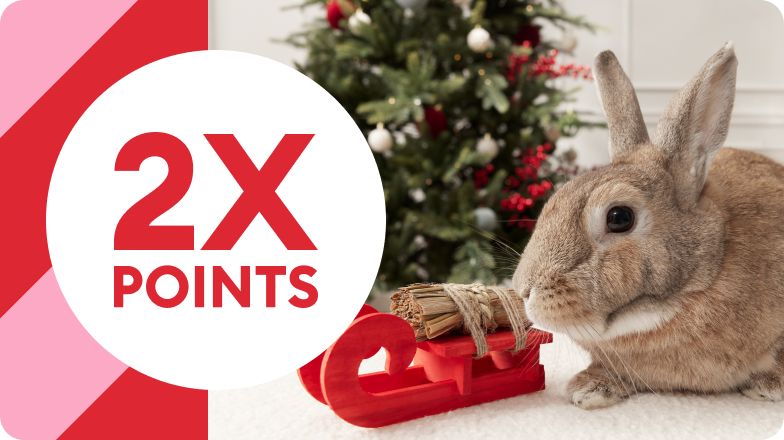 1,500 POINTS with bunny & toy sleigh