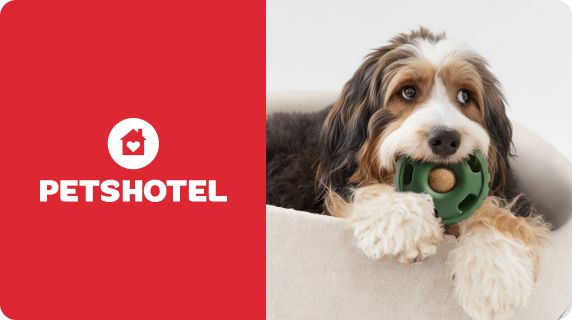 PetsHotel logo with a dog chewing on a green, circular enrichment toy