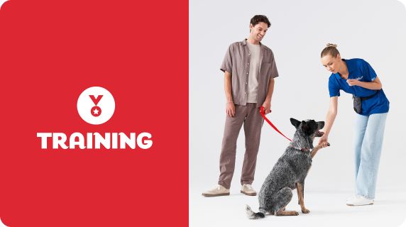 Training logo with a man holding his dog's leash and a PetSmart associate greeting the dog