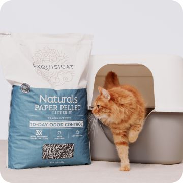 deals on litter and accessories