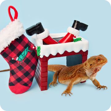 deals on starter kits