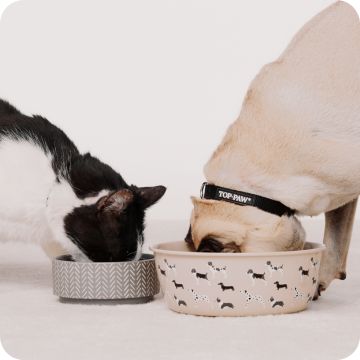 deals on canned food