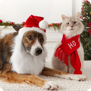 deals on holiday merch