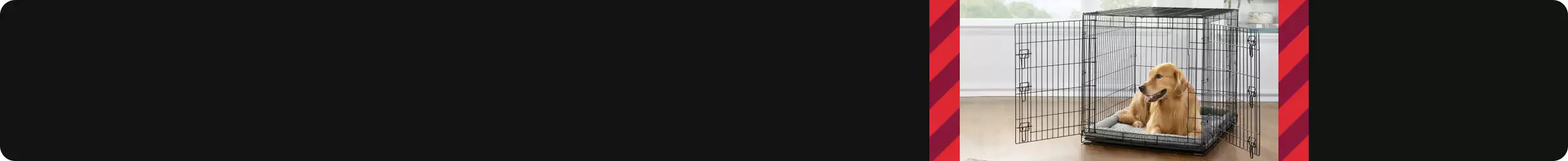 Red striped background and a dog laying in an open wire crate