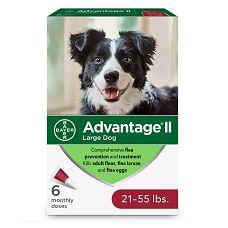 seresto large dog petsmart