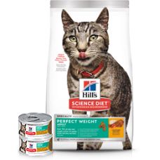 hills kitten food price