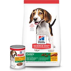 hills science plan puppy medium