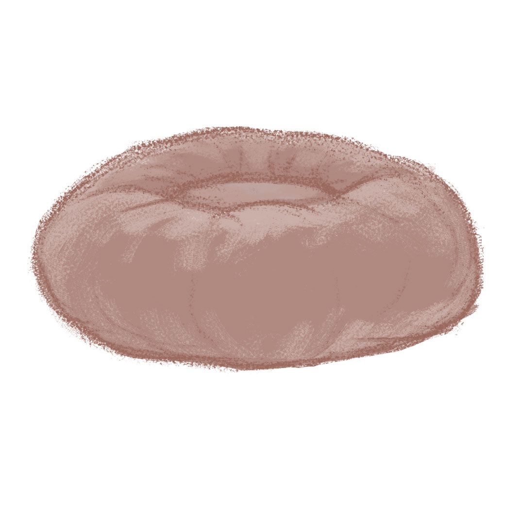 cheap cat beds near me