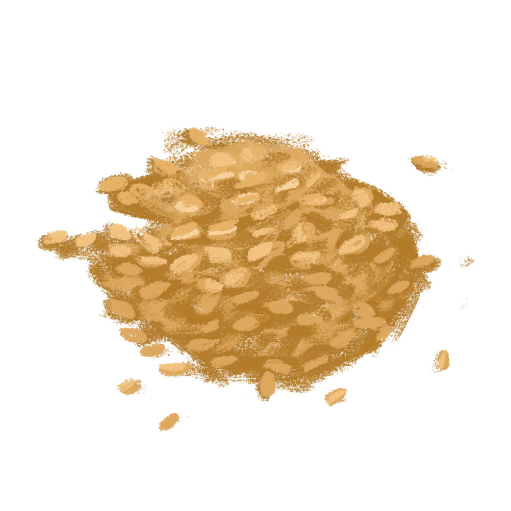 Best Cat Treats PetSmart