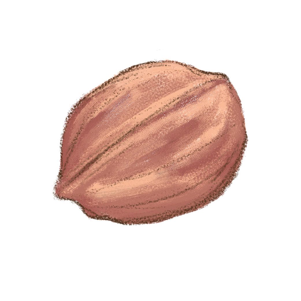 petsmart walnut litter