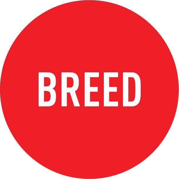 Feed Your Breed