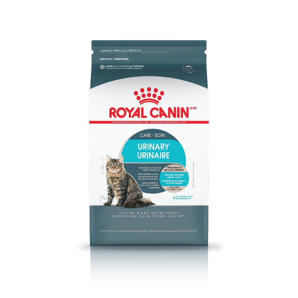 Kalksteen Drastisch praktijk Royal Canin® Cat Food & Kitten Food | PetSmart