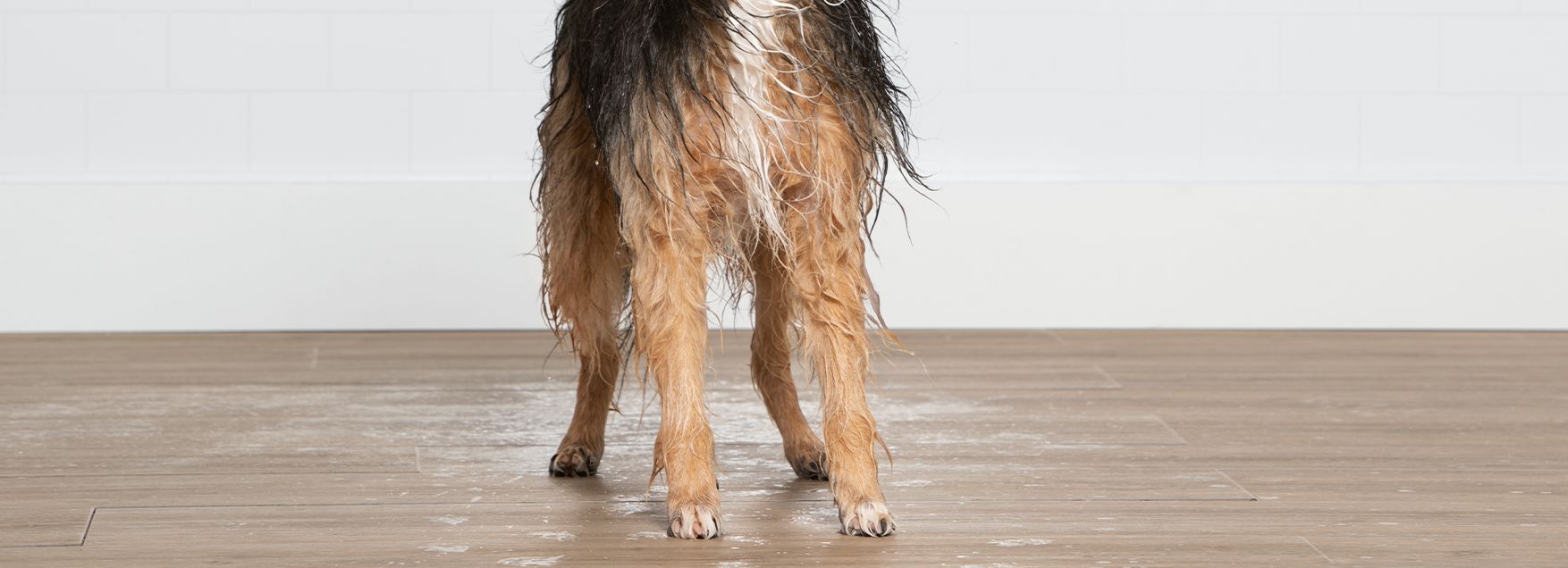 what causes matted fur on dogs