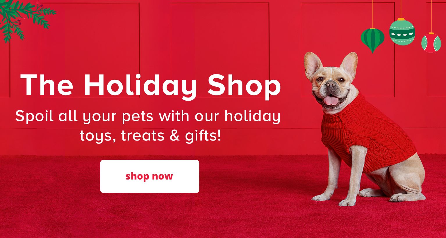 dog products online