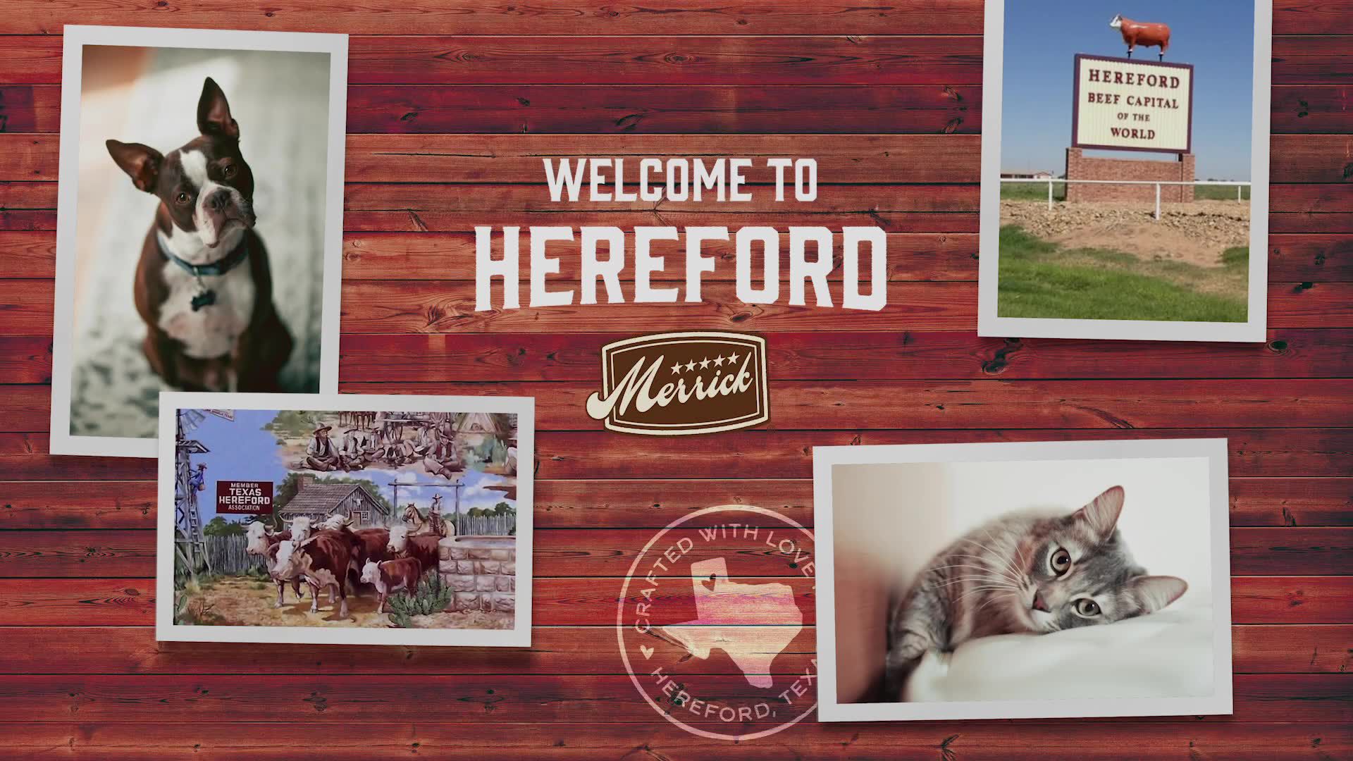 petsmart merrick food