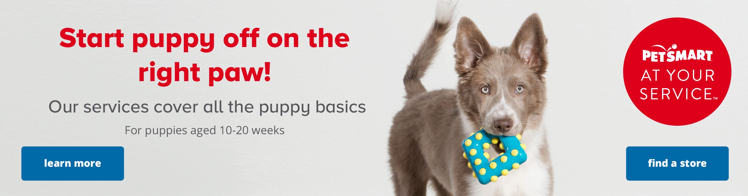 ok google pet stores near me