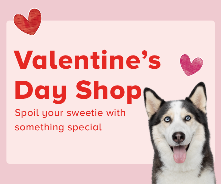 Pet Valentine's Day Gifts for Dogs, Cats & Fish PetSmart