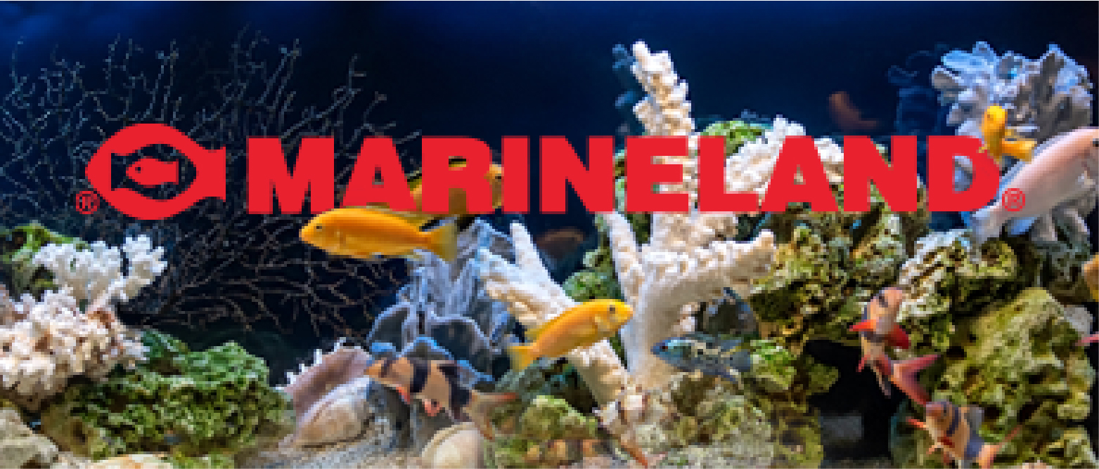 Marineland aquarium outlet kit