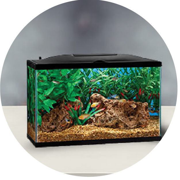 PetSmart - Now's the time to get that aquarium you've always wanted! Shop  PetSmart today and get an aquarium for $1 per gallon! 10 gallon tanks are  $10. 20 gallons? $20. Don't